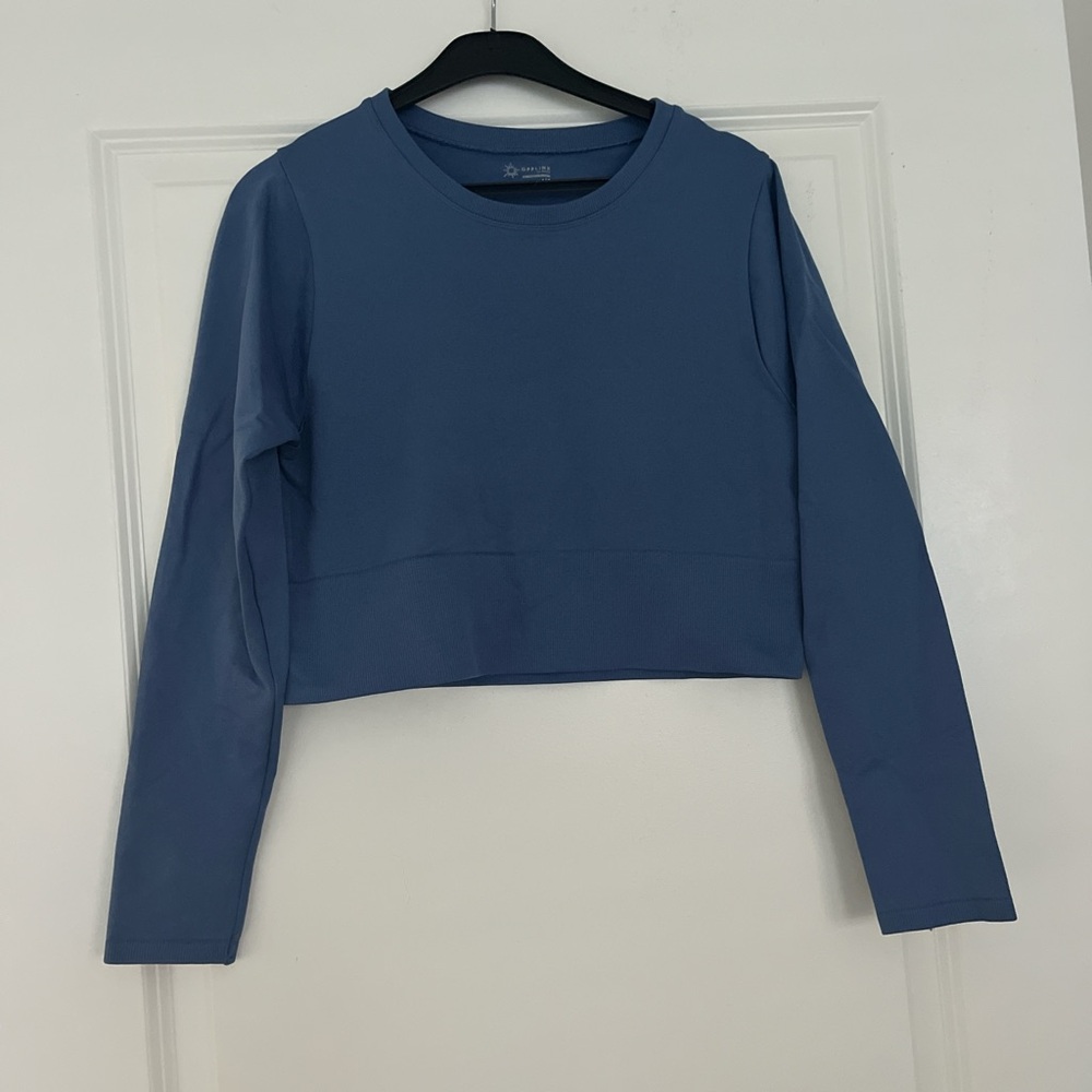 Aerie cropped work out top